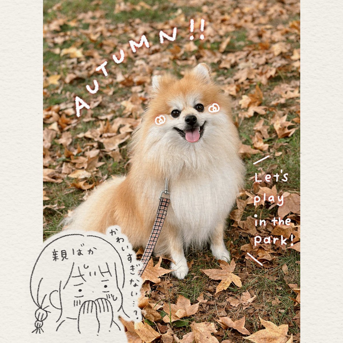 日々、愛犬への気持ちが暴走してるよメモ 