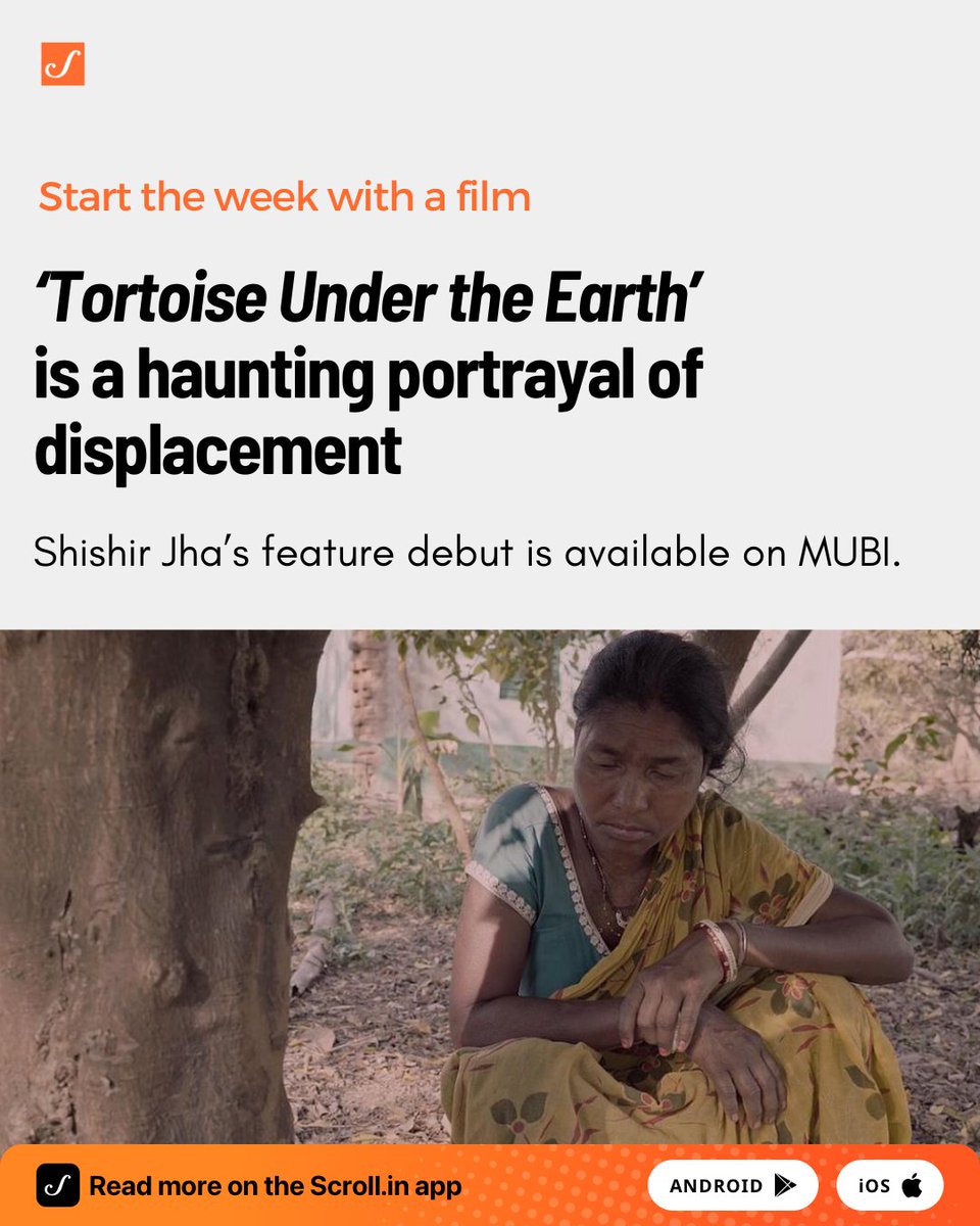 Scroll.in tweet media