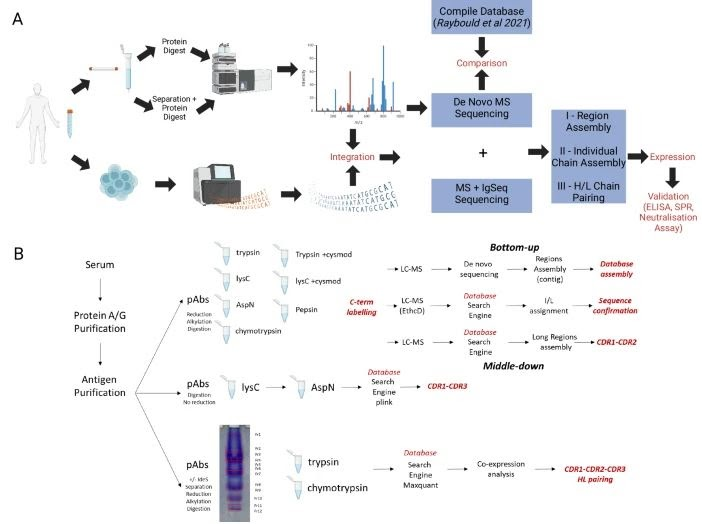 PastelBio's tweet photo. News in Proteomics Research blog post  \De novo analysis of poly(!!) clonal antibodies from human blood!  https://t.co/qBcxr1KiO3

---
#proteomics #prot-other https://t.co/IcCdgliTHt