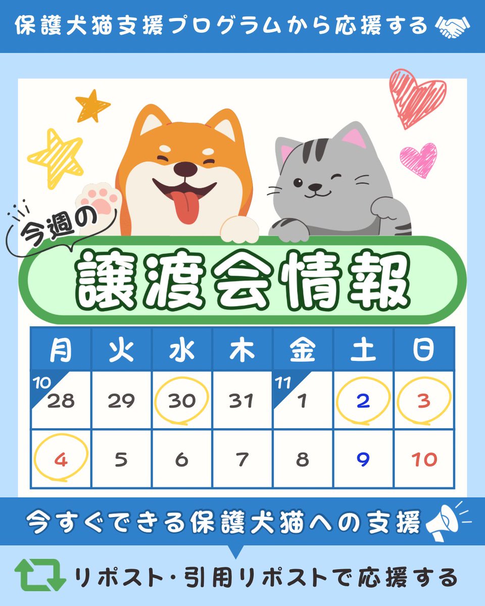 pochi10tama's tweet photo. ＼\ 🐩今週の譲渡会情報🐈‍⬛ /／

詳細はコメント欄の画像からご覧ください( .ˬ.)"

ずっとのお家を探す子達が、家族を見つけるきっかけに繋がるといいなと思ってます🏡⋆*
お近くの開催情報がないか、ぜひチェックしてみてください👀✔

⋆┈┈┈┈┈┈┈┈┈┈┈┈┈┈┈⋆
各団体様のアカウントから詳細情報をご確認ください🔽

🌟本気の譲渡会 様
@nyankoma2018 

⭐️猫にゃんネットワーク府中 様
@nnnfuchu 

⭐️みなと猫の会 様
@minatonekonokai

⭐️城下町にゃんこの会 様
@nyankonokai1 

⭐️いのちの居場所🍀 様
@sora_meru_rady

⭐️モトニャワタ実行委員会 様
@motonyawata 

⭐️ハレノテラス保護猫譲渡会
withねこ 様・NYANpato ITSUOWA 様
-----

⭐️岐阜市保護猫譲渡会
ねこしあぎふ 様
@necoshia_gifu
⋆┈┈┈┈┈┈┈┈┈┈┈┈┈┈┈⋆

#譲渡会