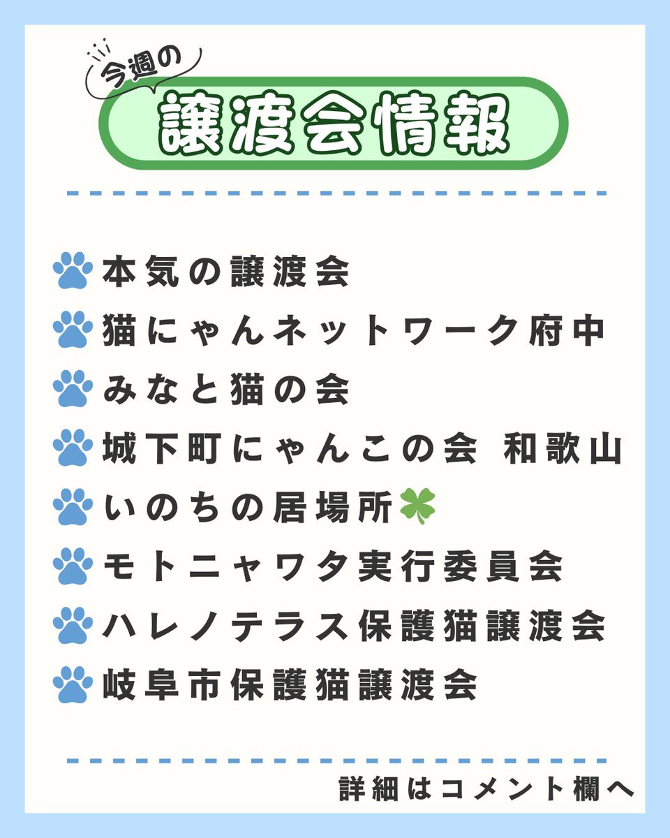 pochi10tama's tweet photo. ＼\ 🐩今週の譲渡会情報🐈‍⬛ /／

詳細はコメント欄の画像からご覧ください( .ˬ.)"

ずっとのお家を探す子達が、家族を見つけるきっかけに繋がるといいなと思ってます🏡⋆*
お近くの開催情報がないか、ぜひチェックしてみてください👀✔

⋆┈┈┈┈┈┈┈┈┈┈┈┈┈┈┈⋆
各団体様のアカウントから詳細情報をご確認ください🔽

🌟本気の譲渡会 様
@nyankoma2018 

⭐️猫にゃんネットワーク府中 様
@nnnfuchu 

⭐️みなと猫の会 様
@minatonekonokai

⭐️城下町にゃんこの会 様
@nyankonokai1 

⭐️いのちの居場所🍀 様
@sora_meru_rady

⭐️モトニャワタ実行委員会 様
@motonyawata 

⭐️ハレノテラス保護猫譲渡会
withねこ 様・NYANpato ITSUOWA 様
-----

⭐️岐阜市保護猫譲渡会
ねこしあぎふ 様
@necoshia_gifu
⋆┈┈┈┈┈┈┈┈┈┈┈┈┈┈┈⋆

#譲渡会