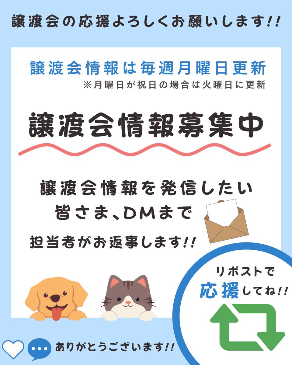 pochi10tama's tweet photo. ＼\ 🐩今週の譲渡会情報🐈‍⬛ /／

詳細はコメント欄の画像からご覧ください( .ˬ.)"

ずっとのお家を探す子達が、家族を見つけるきっかけに繋がるといいなと思ってます🏡⋆*
お近くの開催情報がないか、ぜひチェックしてみてください👀✔

⋆┈┈┈┈┈┈┈┈┈┈┈┈┈┈┈⋆
各団体様のアカウントから詳細情報をご確認ください🔽

🌟本気の譲渡会 様
@nyankoma2018 

⭐️猫にゃんネットワーク府中 様
@nnnfuchu 

⭐️みなと猫の会 様
@minatonekonokai

⭐️城下町にゃんこの会 様
@nyankonokai1 

⭐️いのちの居場所🍀 様
@sora_meru_rady

⭐️モトニャワタ実行委員会 様
@motonyawata 

⭐️ハレノテラス保護猫譲渡会
withねこ 様・NYANpato ITSUOWA 様
-----

⭐️岐阜市保護猫譲渡会
ねこしあぎふ 様
@necoshia_gifu
⋆┈┈┈┈┈┈┈┈┈┈┈┈┈┈┈⋆

#譲渡会
