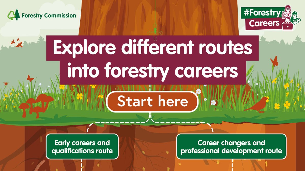 Never has there been a more important time for trees, woodlands, and forests to help tackle the climate emergency.

Ahead of #GreenCareersWeek (4 - 9 Nov), use our guide to explore the different pathways into working in forestry: gov.uk/government/pub…

#ForestryCareers