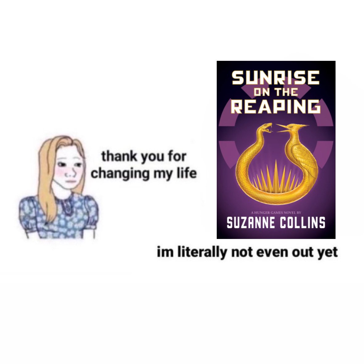 haley 🕊️ (@mockingjaays) on Twitter photo 