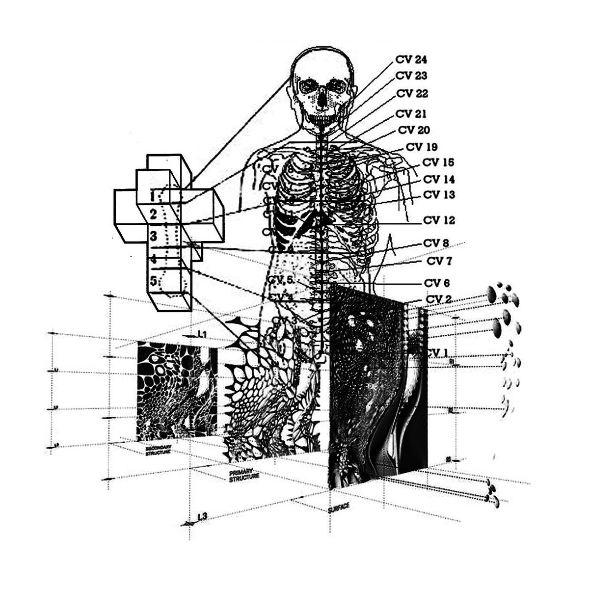 We have something coming in collaboration with <a href="/UndergroundAeon/">𝗦𝗘𝗘𝗟𝗘</a> and <a href="/pseudodeucalion/">𝐌𝐀𝐓𝐑𝐘𝐎𝐒𝐇𝐊𝐀𝐌𝐎𝐍𝐀𝐑𝐂𝐇𝐈𝐒𝐓🪆</a>
