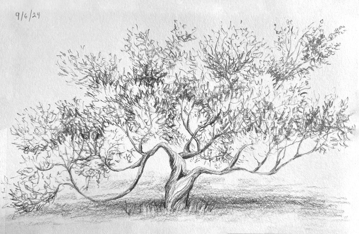 Lessonface tweet media