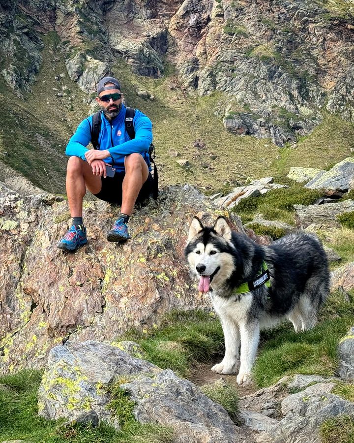 Jordan Alaskan Malamute 🐺🇦🇩 tweet media