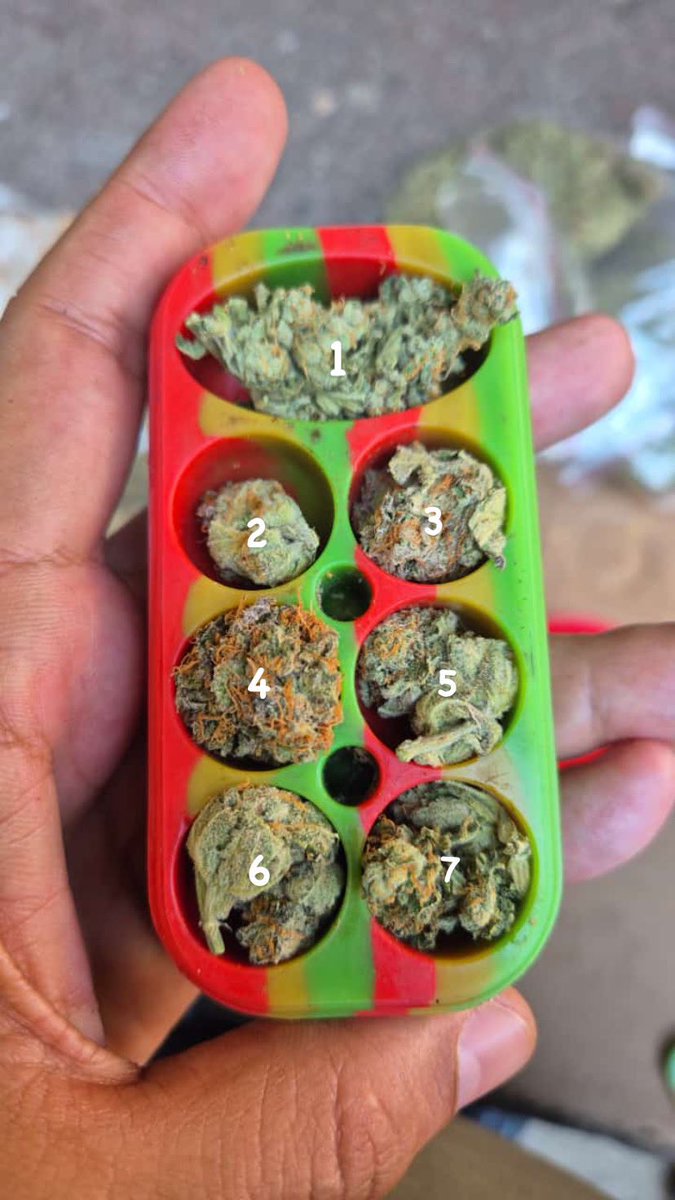 Do 1 ao 7, qual vc escolheria ? 🥦🔥💨