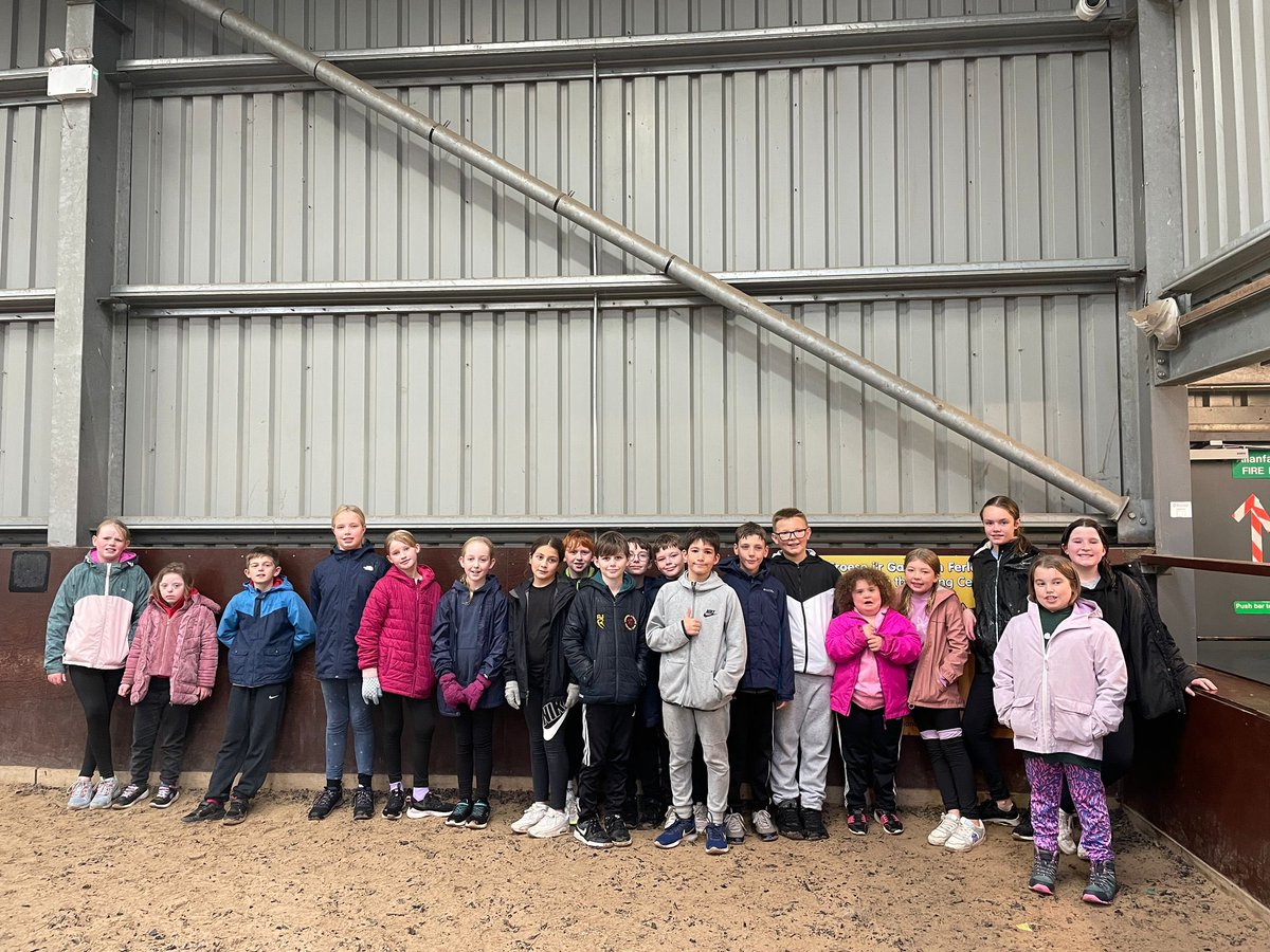 LlanFachPrm's tweet photo. Low ropes, mud course and horses for the first afternoon activity https://t.co/nfmCyGWtsu
