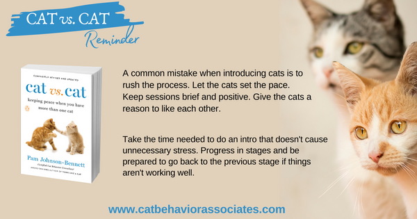 ThinkLikeaCat's tweet photo. I see this repeatedly. Don't rush the introduction. It needs to be gradual, positive, and gentle. Each cat needs to feel secure with the current step before moving on to the next one.
#catvscat #cats #pets https://t.co/W0GDZFEPlc