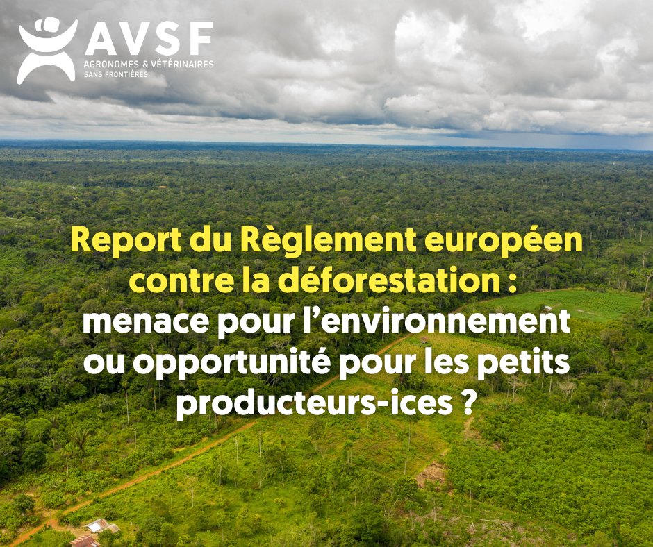 🌳 Report d'un an du #RDUE : ce délai doit être une opportunité de se préparer à une mise en œuvre effective et inclusive du règlement, en particulier pour les petits producteurs-ices, et non un renoncement politique 
👉 avsf.org/report-du-regl…

#deforestation