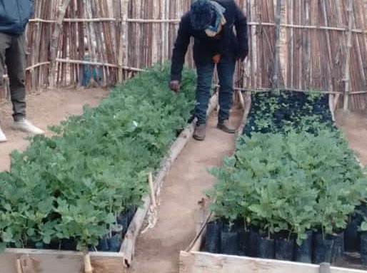 The Agroforestry Hub tweet media