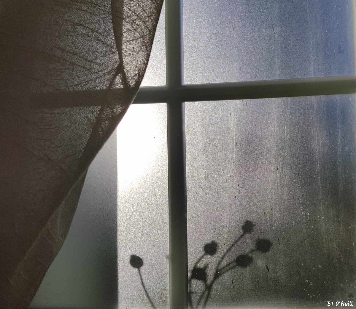 Yesteryear..

Oft' times memories return to be
A certain hour enlivens liveliness
Conversations and laughter within
Warmth of the moment embraces
Whilst it is but a sad wishfulness 
The emptiness of reality feels less
Unoccupied places stay in mind..
#MypoetryEileen2024