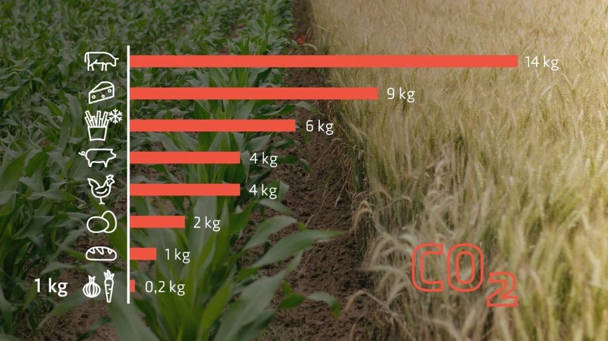 Festival ElemenTERRE, du 15 octobre au 12 novembre : 

📍 18 octobre : atelier "Fresque Agri'-Alim" à la Maison des associations.

📍 19 octobre : fête de l'automne au Jardin RêVé 
Réservations : 
cenon.fr/mieux-manger

+ d'infos 👇

cenon.fr/alimenterre-20…

#festival