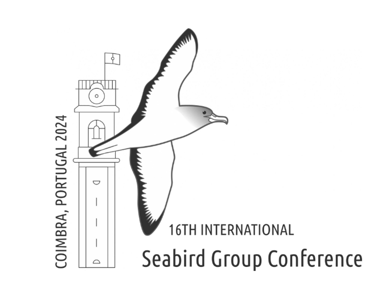 Our website has been stocked up with all of your #CoimbraSeabirds needs! 
seabirdgroup.org.uk/conference-2024 🔗

Whether you missed out on the conference, or you'd like to re-watch a talk that you enjoyed, you can now do so via our YouTube channel! 🤩

youtube.com/@theseabirdgro… 📽️