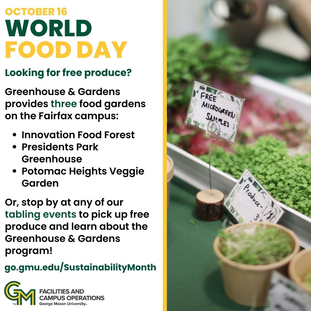 Celebrate World Food Day! Feel free to stop by any of our food gardens on the FFX campus or our tabling events to get free produce. Volunteer opportunities are also available. Learn more: go.gmu.edu/Sustainability… #sustainmason 🌱💚 #masonnation #Masonsustainabilitymonth #zerowaste