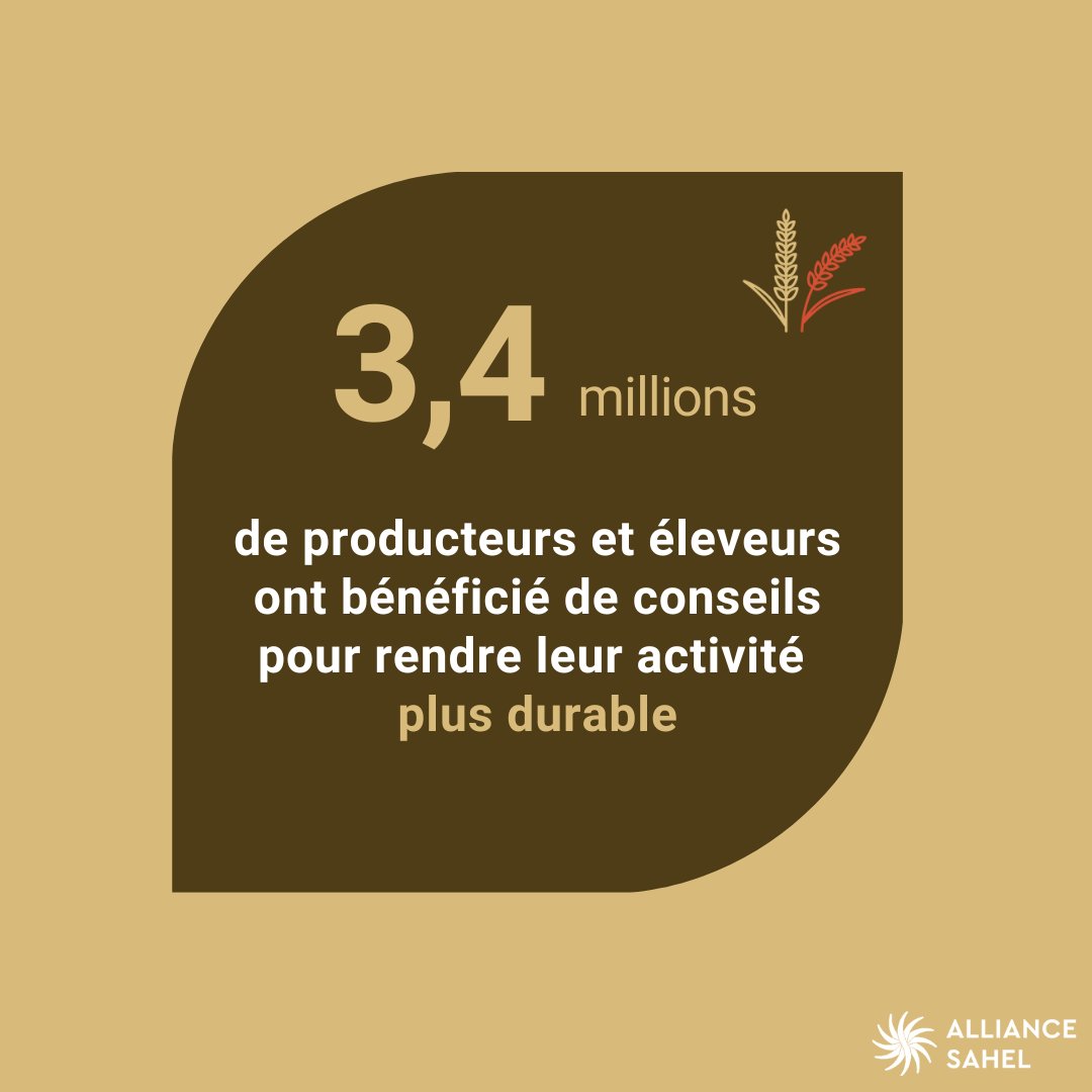 ✅ 3,4M de producteurs et éleveurs conseillés pour rendre leur activité + durable
✅ 1,2M hectares de terres gérées durablement

En 5 ans, les membres #AllianceSahel ont contribué à + #résilience alimentaire, en soutenant les initiatives sahéliennes.

👉🏿 bit.ly/3Nni1X8