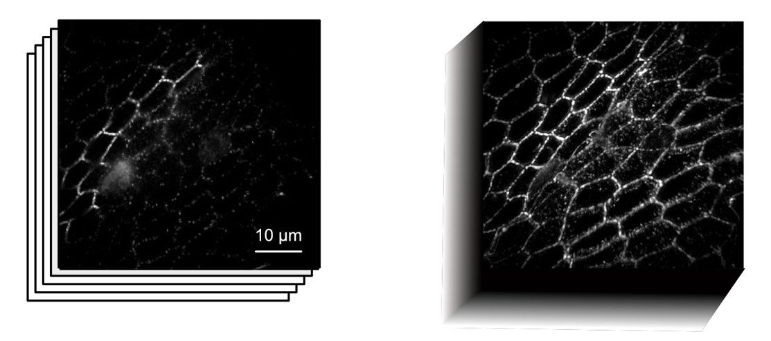 Institut Fresnel tweet media