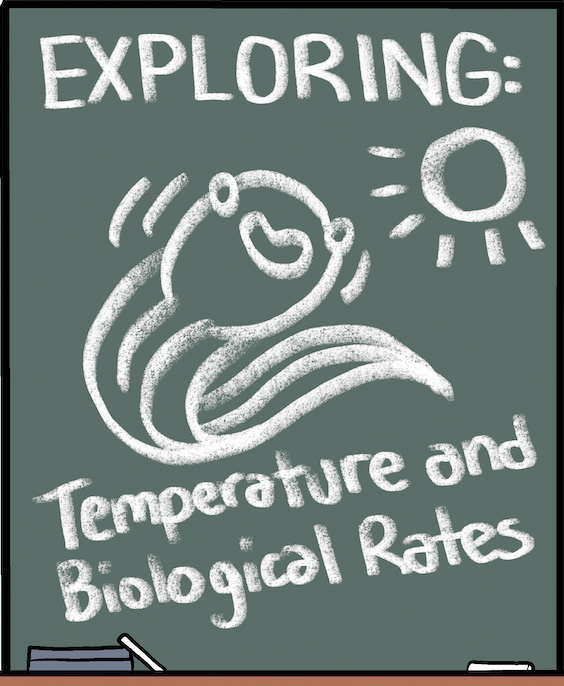 PoLDresden's tweet photo. For episode 5 of our #PoLComic with @PoLDresden, we highlight how increasing temperature can affect biological rates!  1/3   

Check out the full version and previous comics at https://t.co/ZeXxe8uoXv https://t.co/KB33YGFJVv
