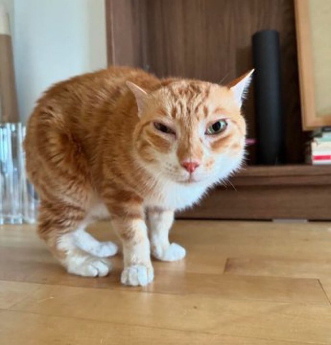 nikooliza's tweet image. what if dou dou was called doo doo it would funny i think