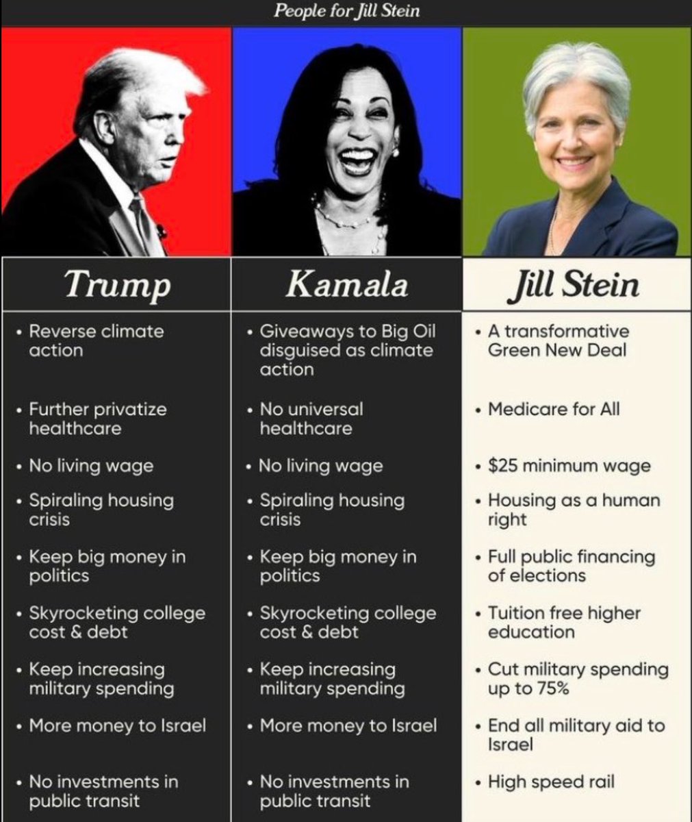 BurnieBitch420's tweet photo. The only sane choice. 💚💚💚 #SteinWare2024 https://t.co/j1IDNMjsWY