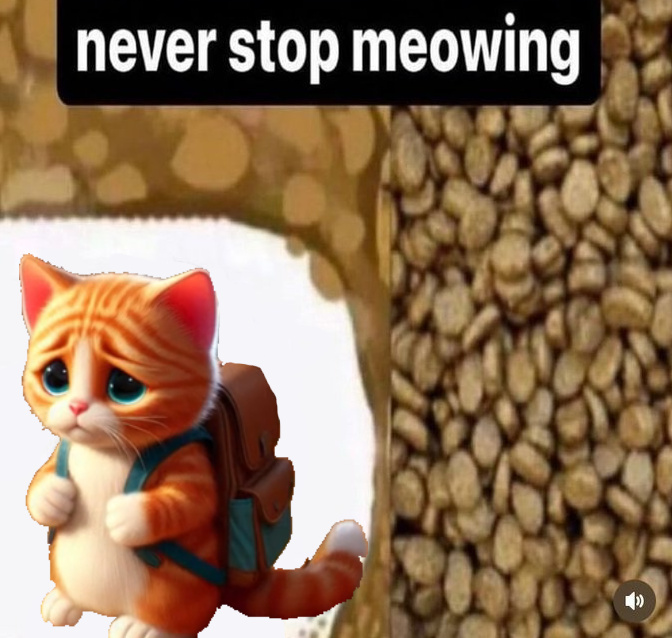 MeowMeowCTO's tweet photo. @idrawline Never stop meowing!

#meowmeow https://t.co/cu56SGthDW