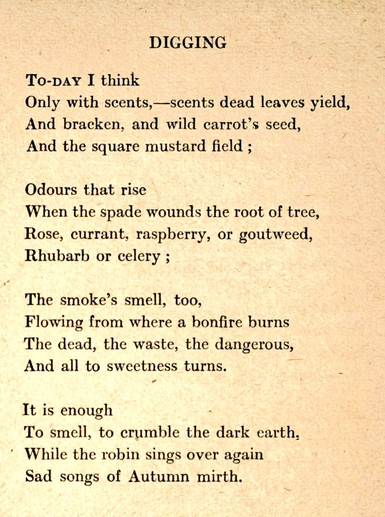 • Edward Thomas •