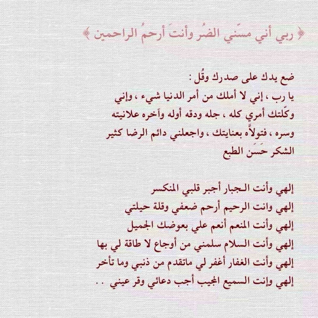 AberoAbdullah's tweet photo. 🍃🌱🕊️ https://t.co/vMXg95KUwt