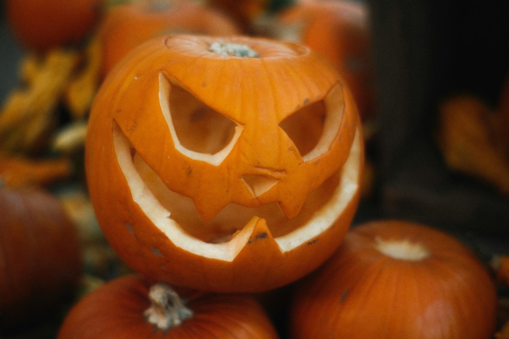 FalveyLibrary's tweet image. With Halloween approaching, our newest Cat in the Stax blog post explores the Irish myth that inspired the tradition of carving pumpkins!

#novanation #falveylibrary #halloween