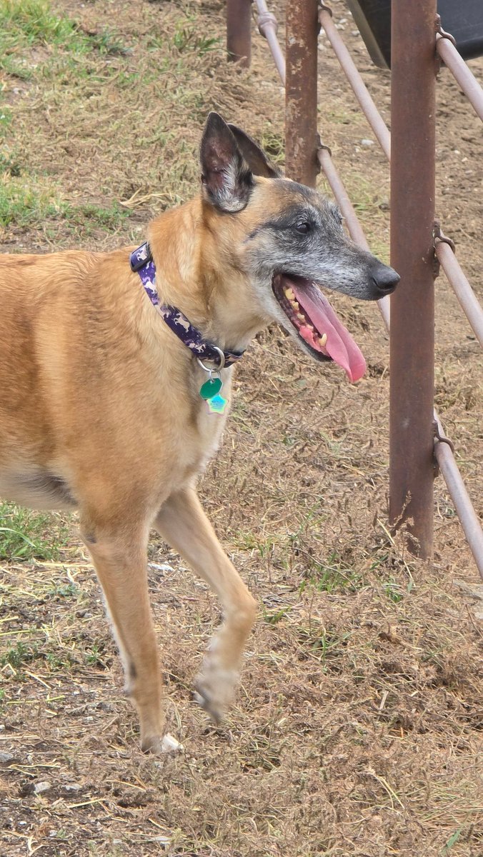 Schmarcus tweet media