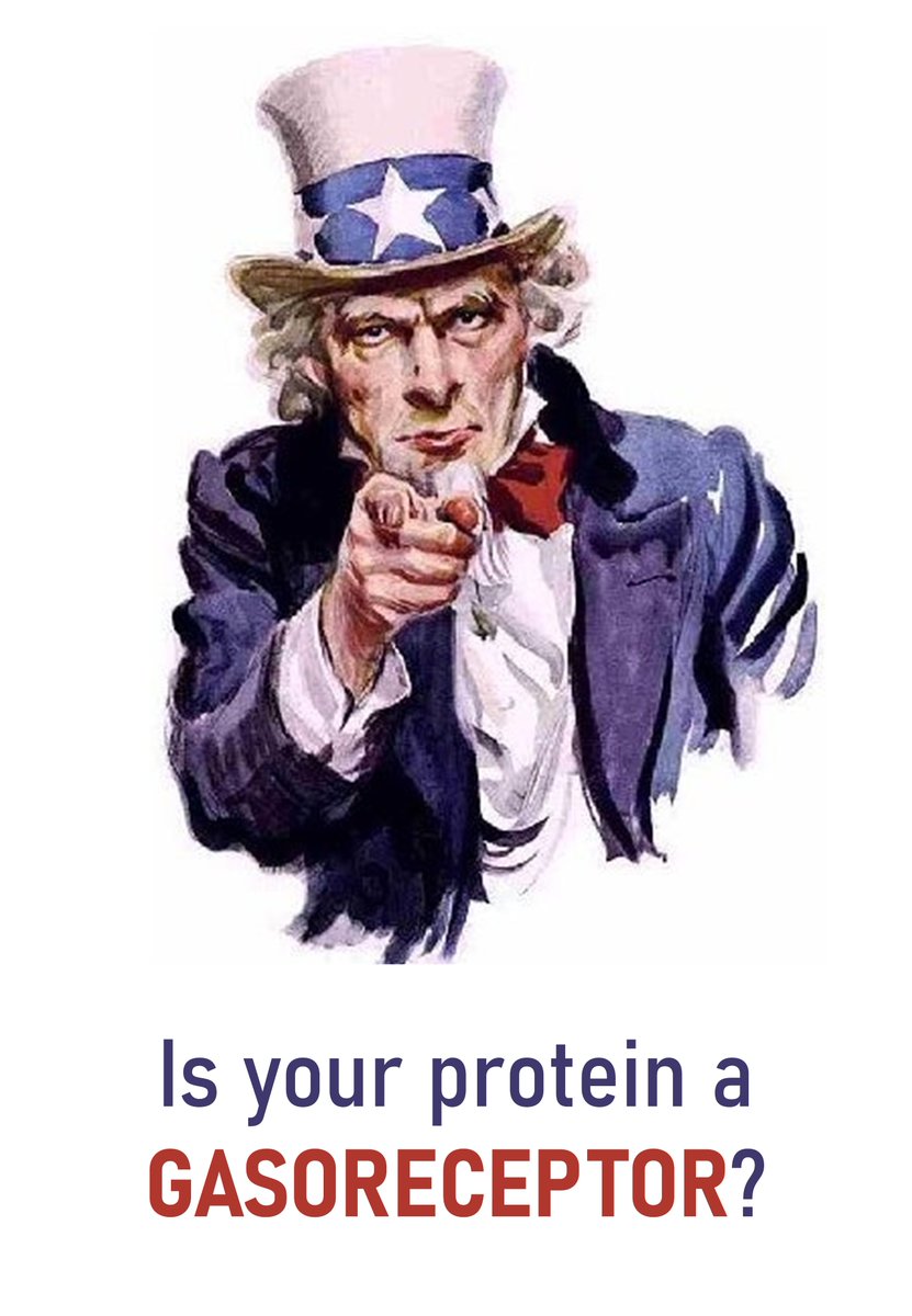 ZebrafishGroup's tweet image. As "Prestige drives epistemic inequality in the diffusion of scientific ideas", our @SavaniAnbalagan tries a different approach.

#gasocrine #gasoreceptor 

#biologytwitter #sciencetwitter #EMBO #ERCStg #ERCAdv #NIH #CellBio2024 #zebrafish #xenopus #drosophila #Celegans