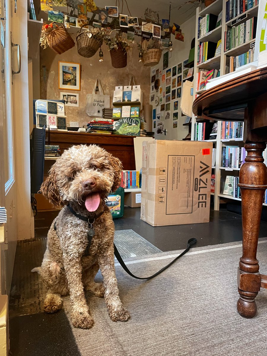Retail is SO humbling

£9.99 and 1 BOOK SOLD in store after things were picking up in recent weeks: A bit crushing but footfall just plummets in this filthy weather.

Anyone brave in Frome we are here until 5pm or at sherlockandpages.com for the arm chair browsers: