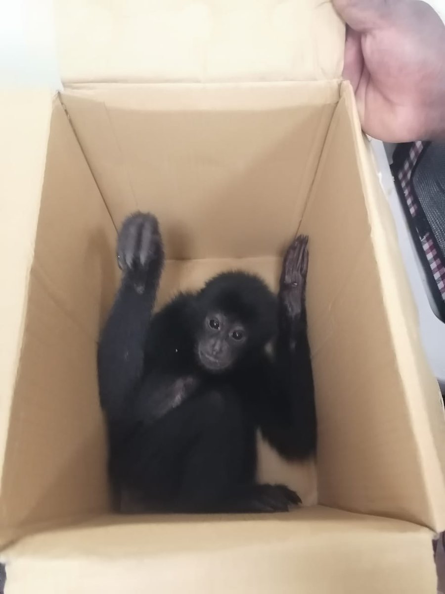 Chennai Customs tweet media