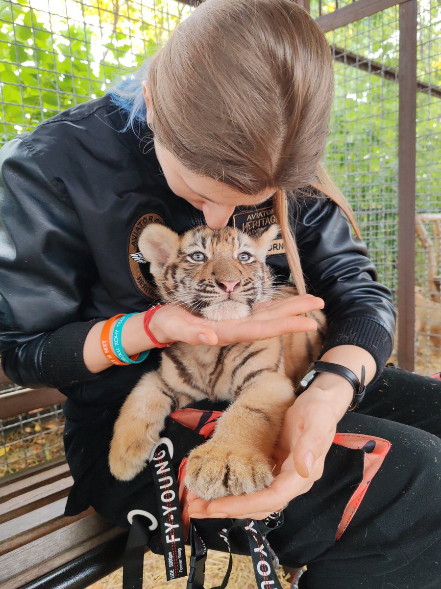 M.Ookami tweet media