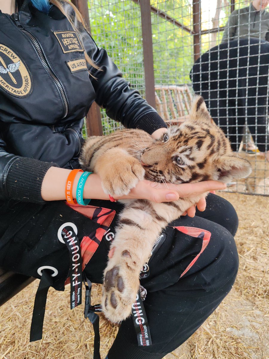 M.Ookami tweet media