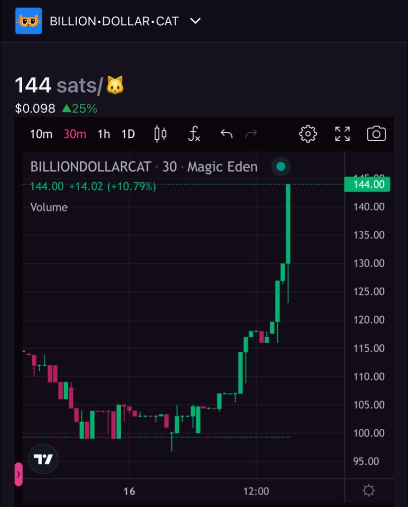 Bongo 🥁 tweet media