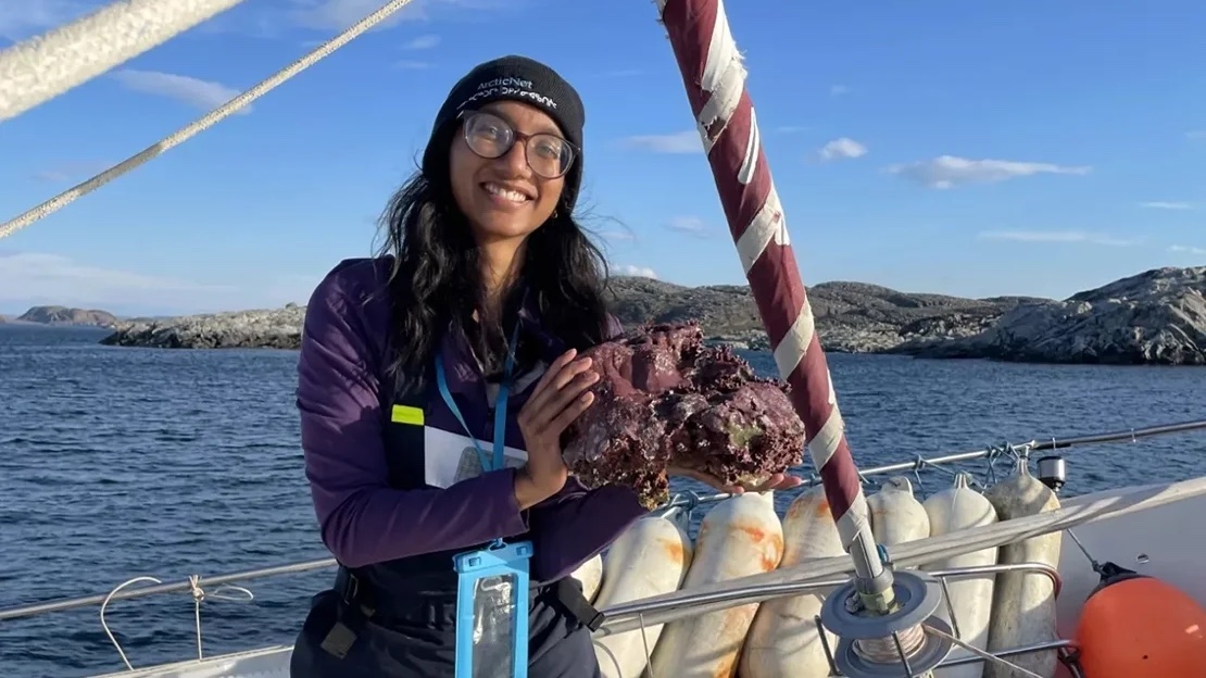 UofT's tweet photo. #UofT researcher tracks 1,000 years of sea ice 🌊 https://t.co/JJ4JKXNv7s https://t.co/KtMMOVPWTG