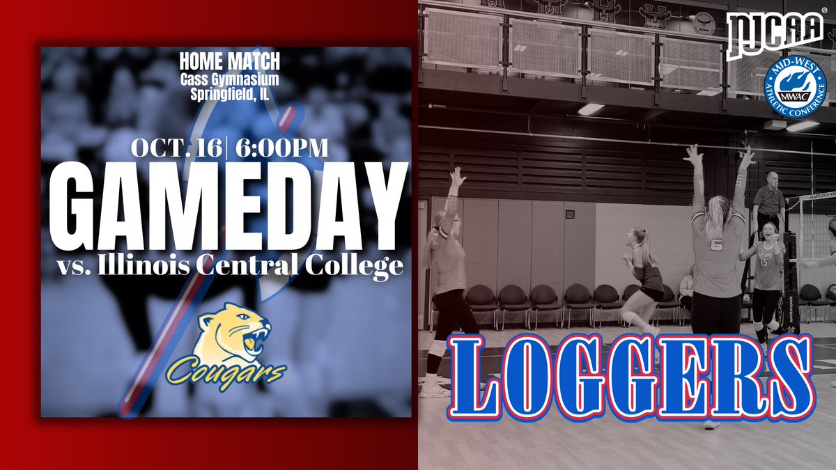 Lincoln Land Volleyball tweet media