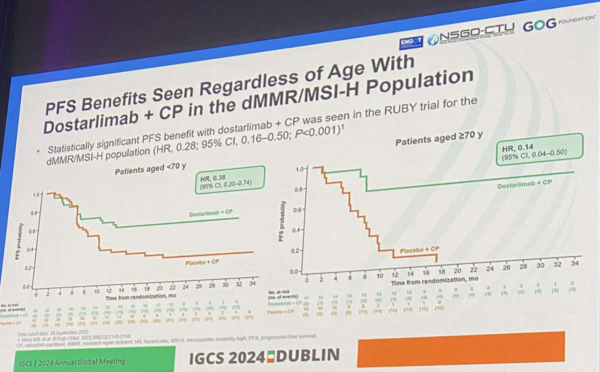 AngelesSecord's tweet photo. Dr Mirza - so happy to see benefit IO in more “seasoned” >=70 years patients treated without increased IO related toxicity #IGCS2024 @SGO_org @GOG https://t.co/UtgeNJKr2I