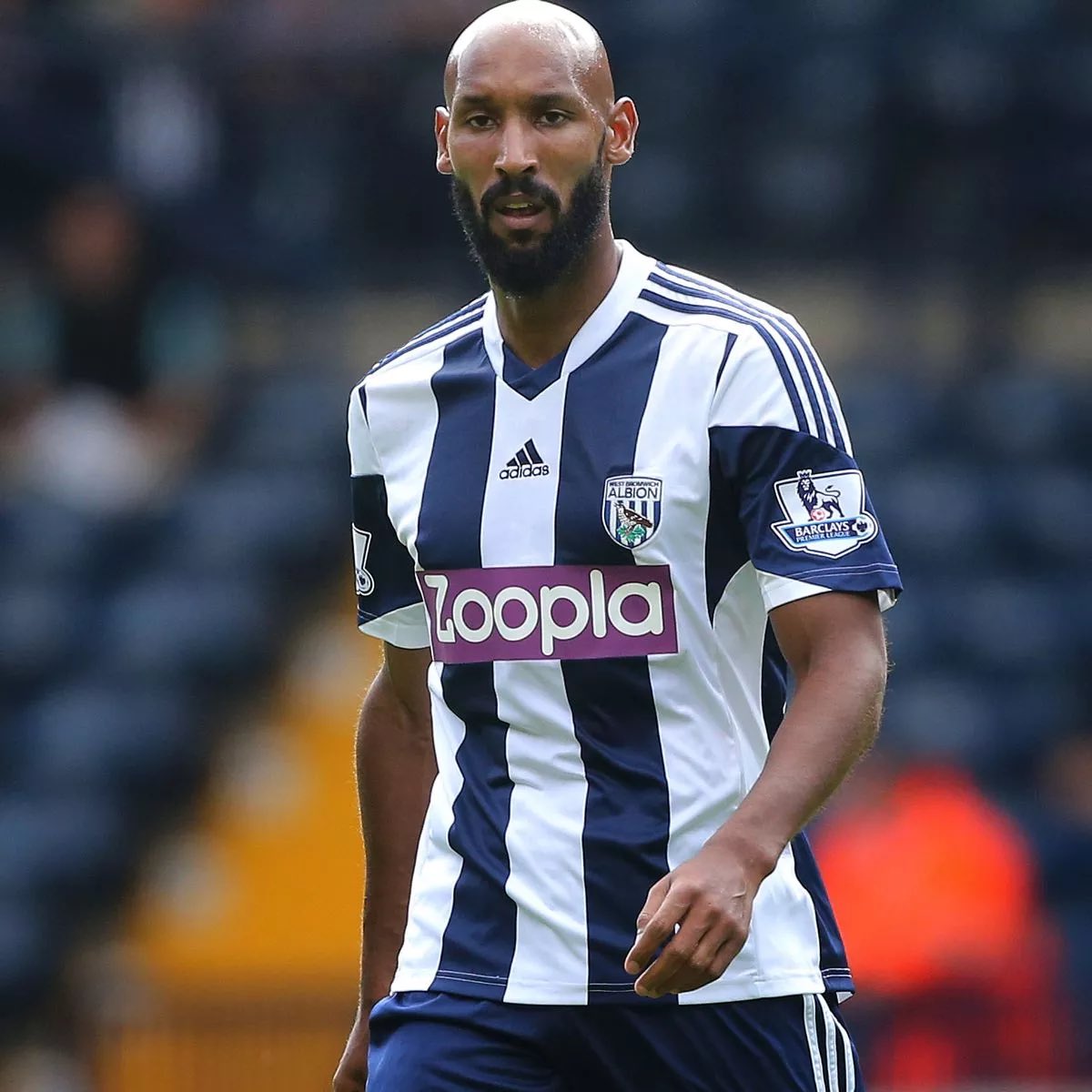 Adam Hayfield tweet media