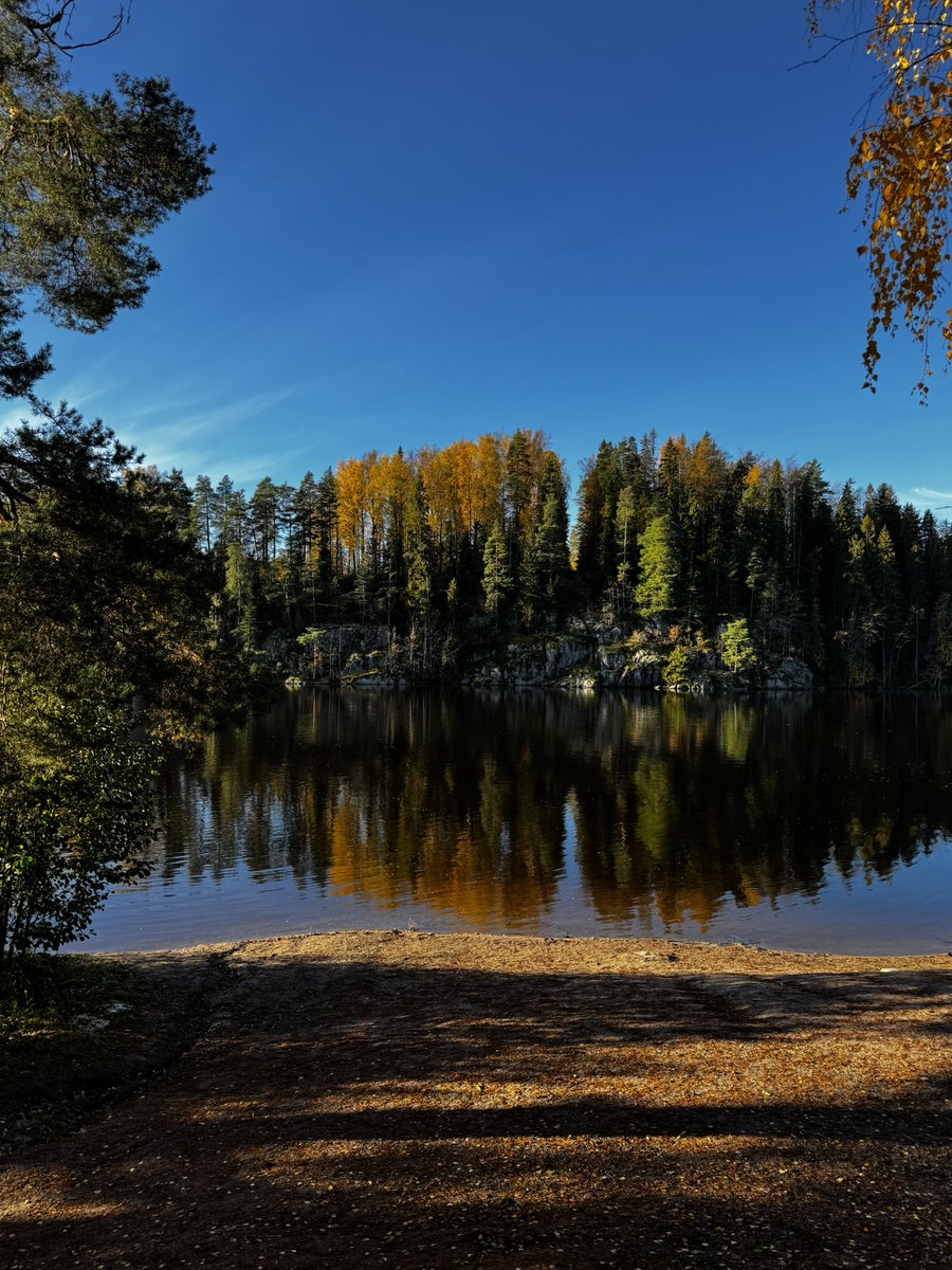 Susanna Valkeapää tweet media