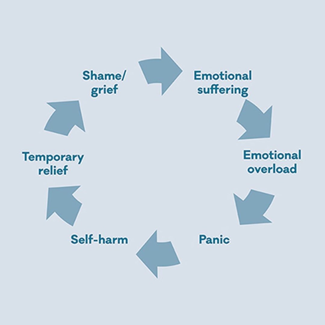 We call this the ‘Cycle of Self-Harm’

We explain this, dispel some common myths around self-harm and lead you to better support your child or teen in our free online course so definitely check it out here: youthmentalhealthfoundation.org/onlinecourse

#mentalhealth #support