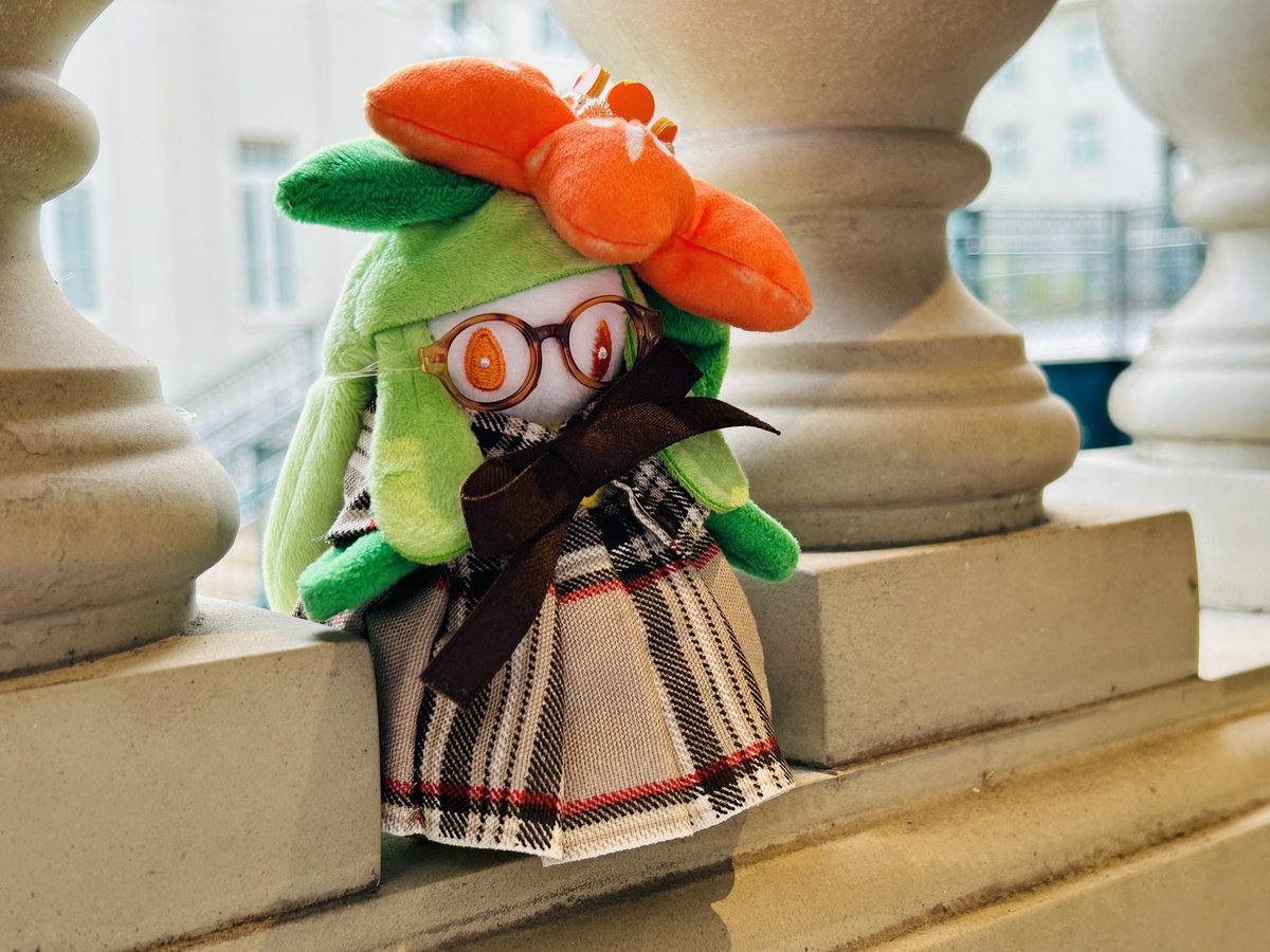 みひめかおり tweet media