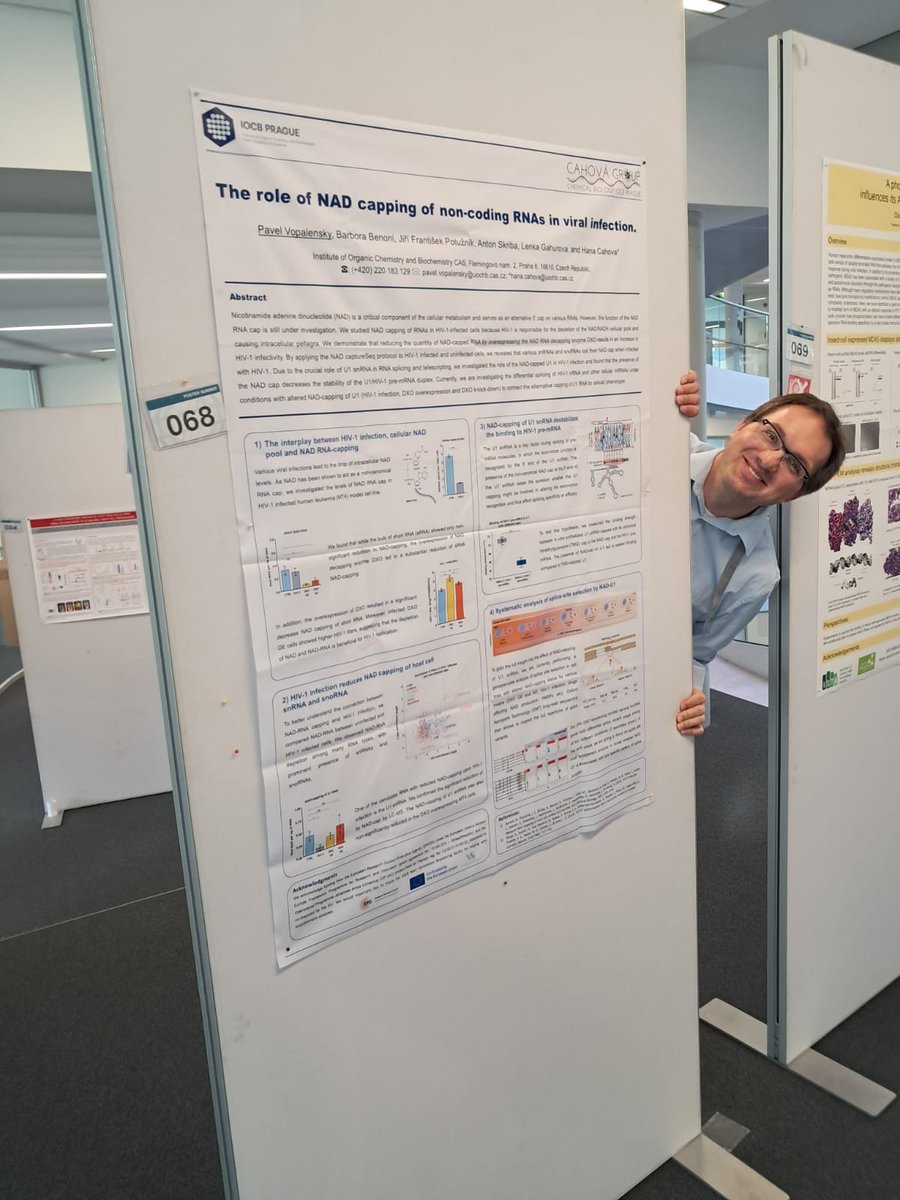Cahova Group of Chemical Biology (@cahovab) on Twitter photo Back in Heidelberg for The complex life of RNA! #EESRNA If you want to know more about non-canonical RNA capping, stop by the posters of our two postdocs Ondrej (206) and Pavel (068)! #NAD #Ap4A #epitranscriptomics <a href="/EMBLEvents/">EMBL Events</a> Back in Heidelberg for The complex life of RNA! #EESRNA If you want to know more about non-canonical RNA capping, stop by the posters of our two postdocs Ondrej (206) and Pavel (068)! #NAD #Ap4A #epitranscriptomics <a href="/EMBLEvents/">EMBL Events</a>