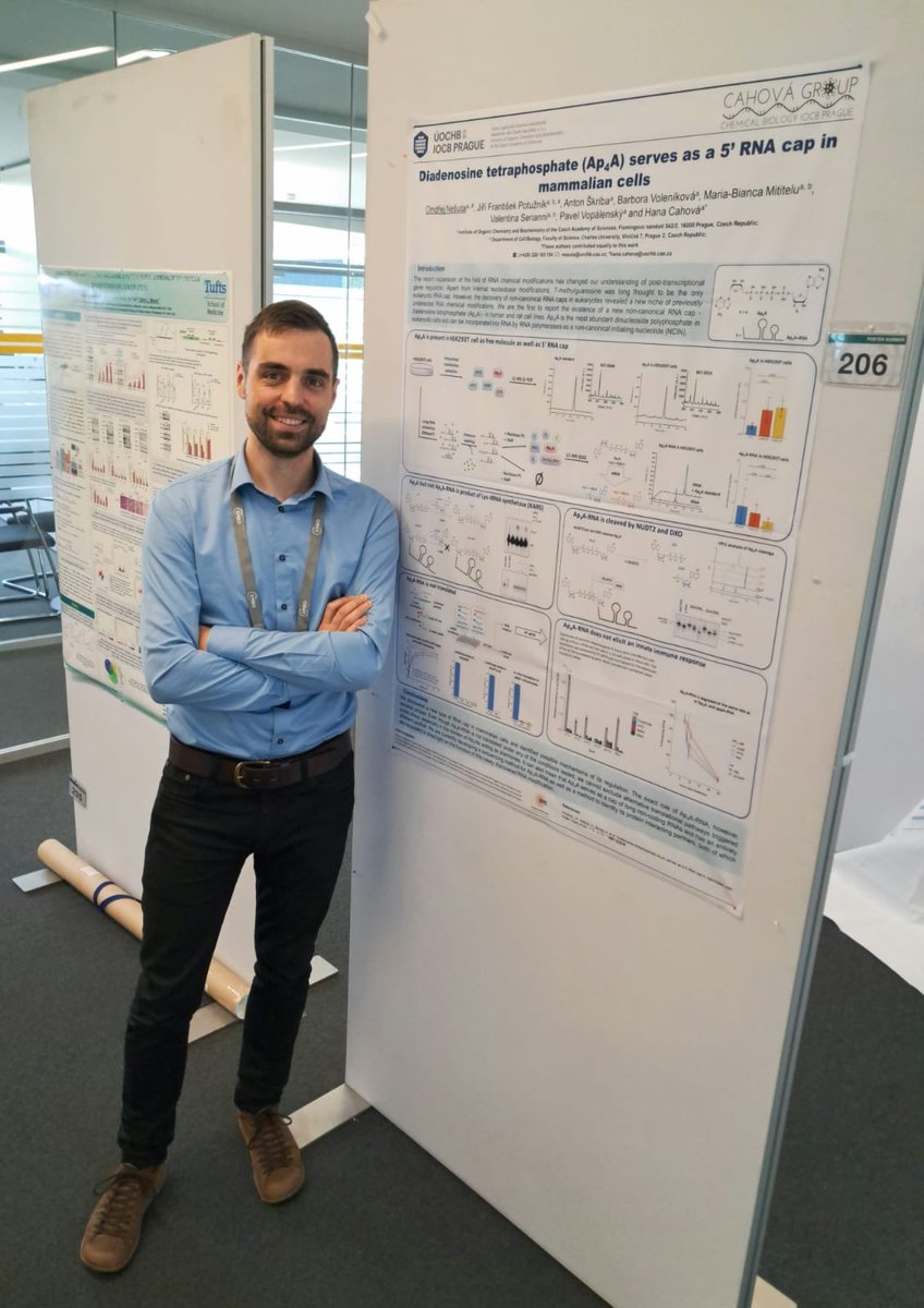 CahovaB's tweet photo. Back in Heidelberg for The complex life of RNA! #EESRNA If you want to know more about non-canonical RNA capping, stop by the posters of our two postdocs Ondrej (206) and Pavel (068)! #NAD #Ap4A #epitranscriptomics @EMBLEvents https://t.co/2cWOVUJjGp