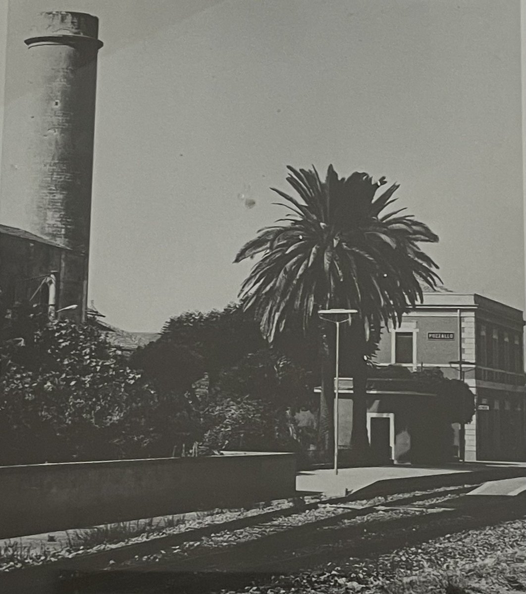 <a href="/InsideNatGeo/">National Geographic Society</a> <a href="/efimedfacility/">EFI Mediterranean Facility</a> Carob has also been used for ethanol production. One such story comes from everyday life in Pozzallo, where Antonio, now 85, began working at just 13 - with a special permit-  in Giuffrida, operating an ethanol factory from carob extract.

#EntangledDestiny