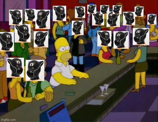 Polar Dog 🔜 MRW tweet media