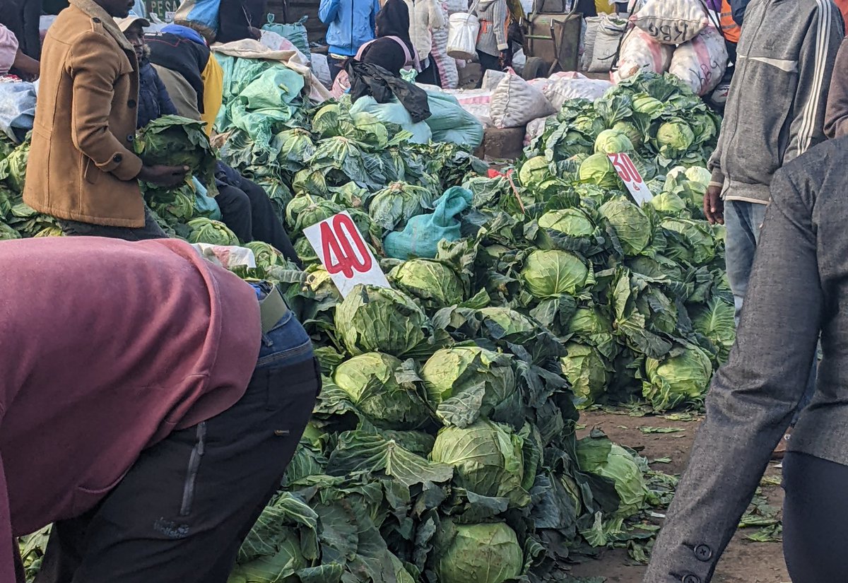 Acaciafoundati1's tweet photo. Access to adequate and nutritious food should be guaranteed for every individual, regardless of their social or economic status. #RightToFood https://t.co/0Wu1ppzgxY