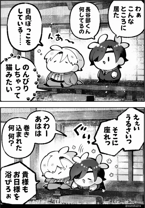 お日様の押し売り☀️ 