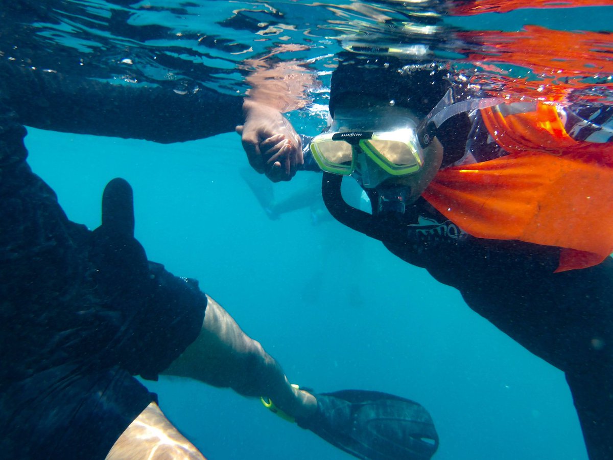 WomenInFvm's tweet photo. This snorkeling trip was held within the #AliDhoadhi event : 4 day event to commemorate #worldmentalhealthday 📍Fuvahmulah City by WIF, @TheEcoOrgHQ @ProjectHavenMV @TransparencyMV supported by @bankofmaldives @Dhiraagu @FVMCouncil
🧵3/6 https://t.co/cOULlV7Pbg